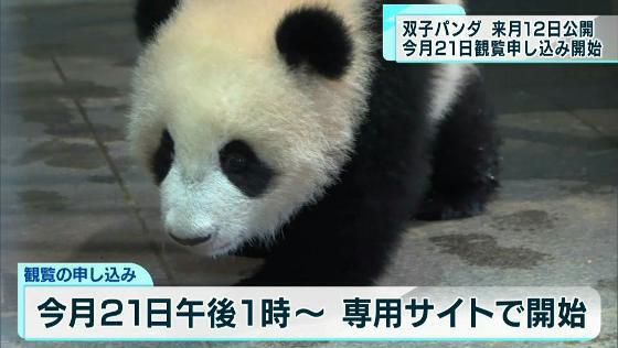 上野動物園パンダ